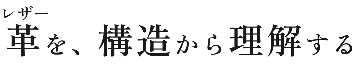 革（レザー）を、構造から理解する